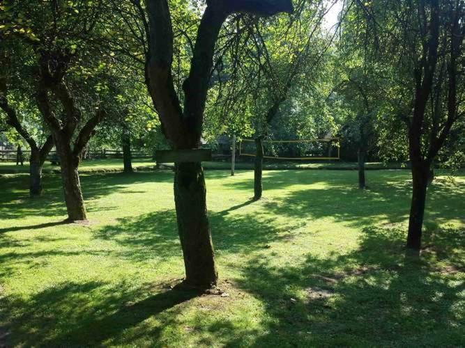 Kamp Na Otoku - Ljubno Ob Savinji Ξενοδοχείο Εξωτερικό φωτογραφία