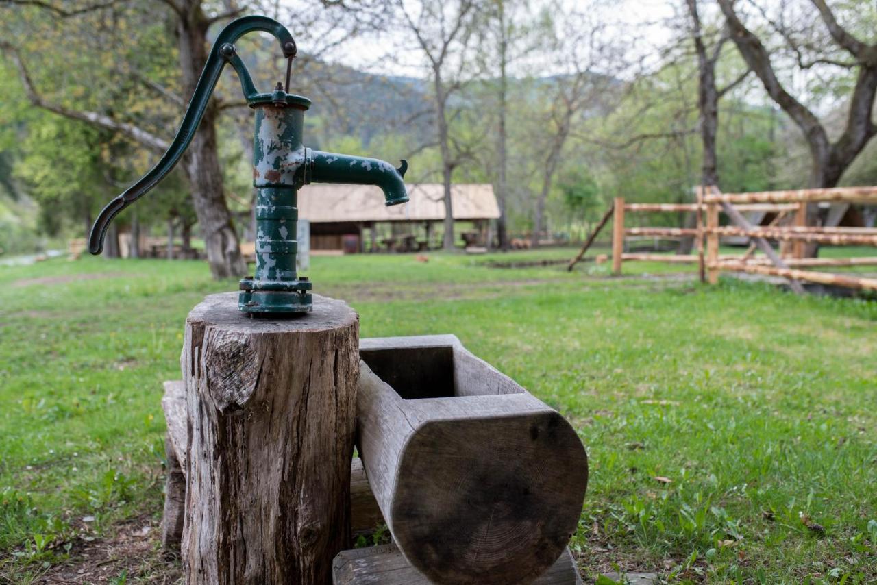 Kamp Na Otoku - Ljubno Ob Savinji Ξενοδοχείο Εξωτερικό φωτογραφία